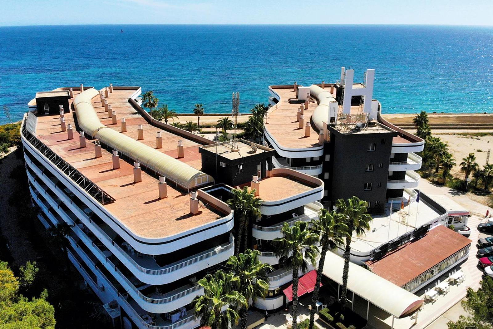 Palmera